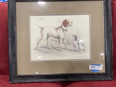 Antique Graphic Art Print of Dogs