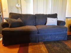 Down cushion sofa