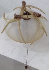 Antler Dome Light