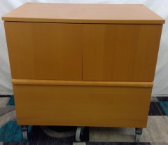 Wheeled File Cabinet