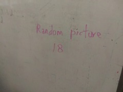 Interior French Door