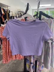 wild fable purple crop top M