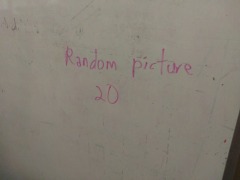 Glass\/Marble\/Stone  sheet tile