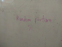 Full Bundle of Shingles like the disease