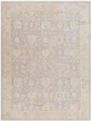 Avant Garde Tan and Blue Rug 2'7x10'
