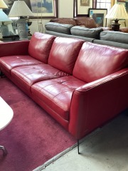 Sofia Vergara Sofa