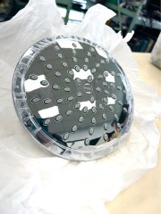 Moen Rain Shower Head