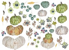 Roycycled - Heirloom Pumpkins