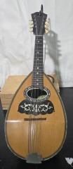 Vintage Bowl Back Mandolin