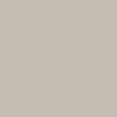 1 Gallon Putty