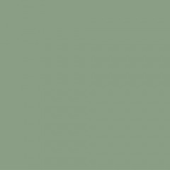 1 Gallon Green
