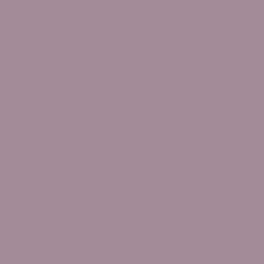1 Gallon Violet