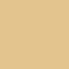 1 Gallon Yellow