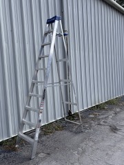 10 ft Louisville Ladder (250lbs)
