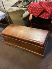 Wood Trunk