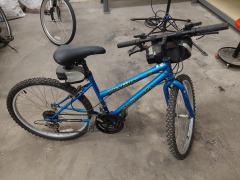 BLUE ROADMASTER MT. FURY 15 SPEED BIKE W\/24 INCH WHEELS