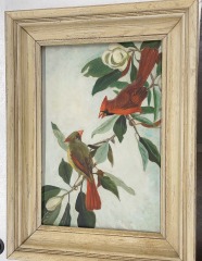 Vintage Roger Tory Cardinal Bird Framed Original