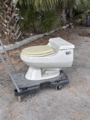 Vintage Kohler Toilet