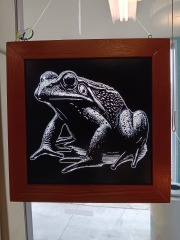 Frog Acrylic Art
