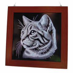 Cat Acrylic Wall Art