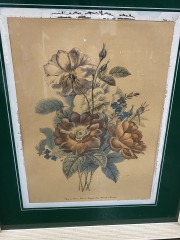 Rose De Provins Framed Print