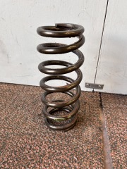 Landrum Springs i300 Rear Conventional Spring