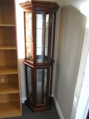 Narrow Curio Display Cabinet