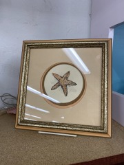 Charming Lil Starfish Print