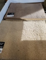 NEW Carpet Mats (18x24)
