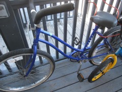 Women's 'Murry' City Bike