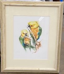 Yellow Parrots Perched on a Branch Framed Print