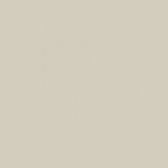 Cream 1 Gallon Paint