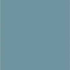 Blue 1 Gallon Paint