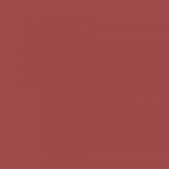 Brick 1 Gallon Paint