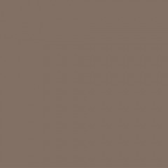 Brown 5 Gallon Paint