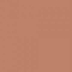 Orange 1 Gallon Paint