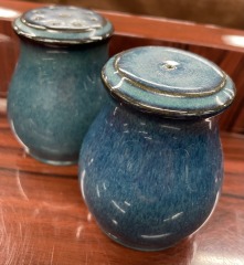 Denby Greenwich Salt and Pepper Shakers