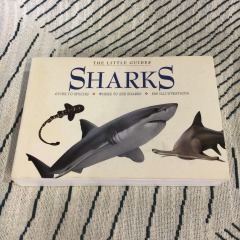 Sharks  written by Leighton Taylo