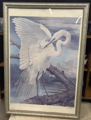 American Egret (The MAGICAL)