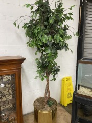 7 Ft. Faux Tree in Brass Foot Pot