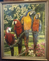 Vtg. Framed Art, Macaws in Garden, Signed by Artist