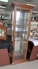 Tall Lighted Curio