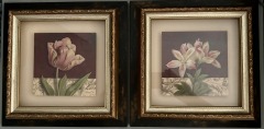 Floral vintage-style Sketches, Set of 2, shadowbox fashion.