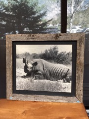 Rhino Wall Art
