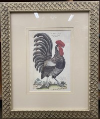 Fabilous Rooster Print
