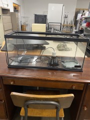 20 Gal Terrarium with Light & Heat