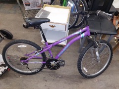 Purple Murray Antares 21 Speed Bike