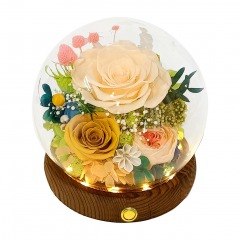 3539 R12 | VALLEY OF RAIN & FOREST Preserved Flowers