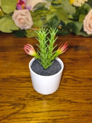 Faux Mini cactus