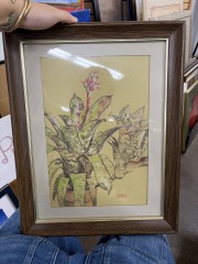 Aechmea Orlandiana Original Art by Stoll